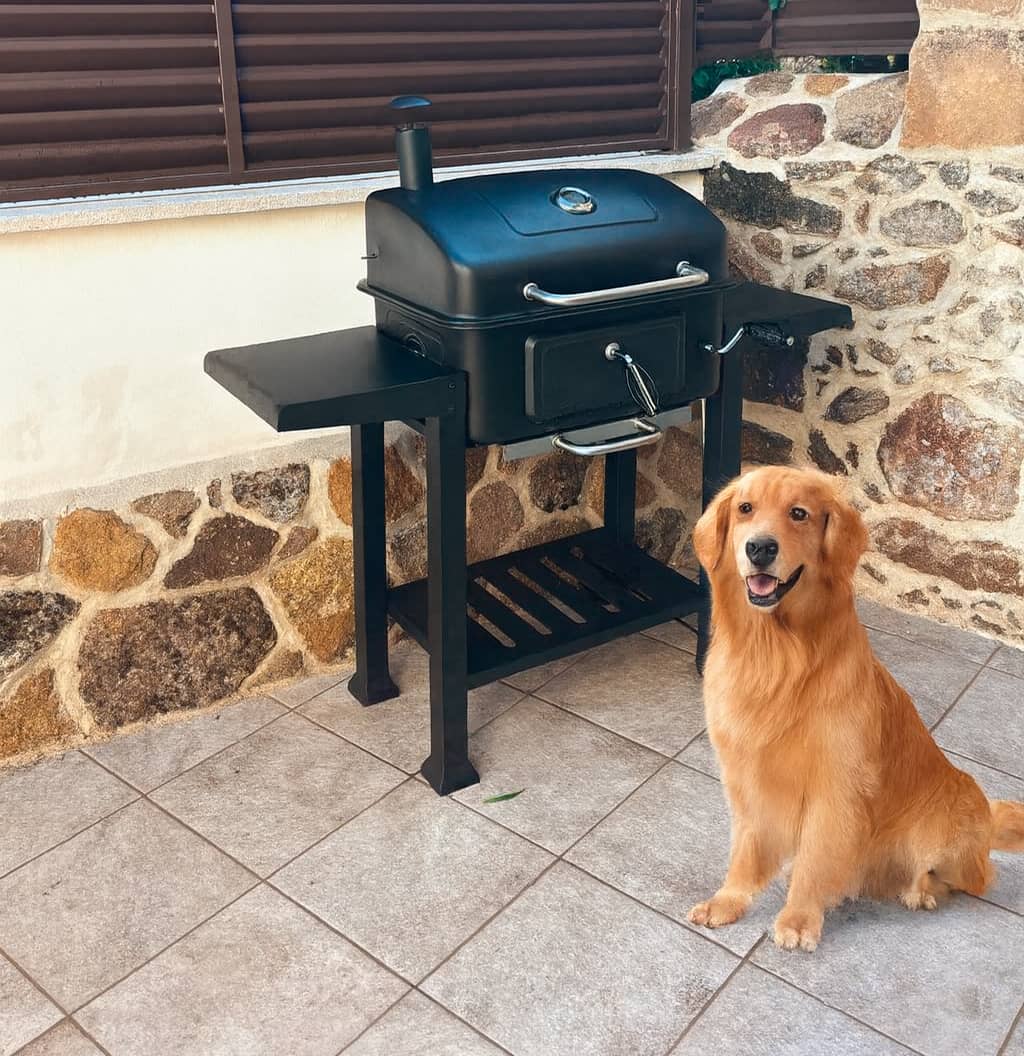 pet-friendly-la-casina-navalcan