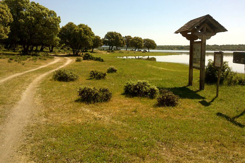 ruta_de_las_aves_navalcan